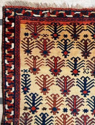 Circa 1860 East Persian Afshar Rug. Unusual design. Size 138 x 179 cm. Please send me direct mail.

emreaydin10@icloud.com

Instagram - @emreaydinrug             