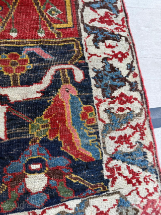 Circa 1870s Wagireh Bidjar
Dimensions: 140 x 230 cm. Please send me direct mail.

emreaydin10@icloud.com

Instagram - @emreaydinrug                  