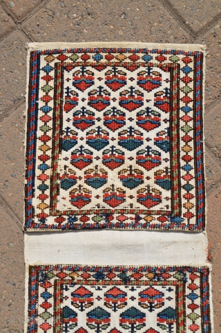 Antique Shahsavan flat woven mini-khorjin. 11" X 24" Circa 1900. Soumac bud and flower designs on cotton ground. All natural colors. In fine original condition.        