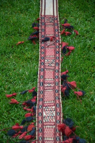 Turkmen tent band. 15 ft (including tassels) X 3-1/2 in. 13 ft 6 in excluding tassels. All wool. Natural colors. An antique flatwoven piece in perfect condition.      