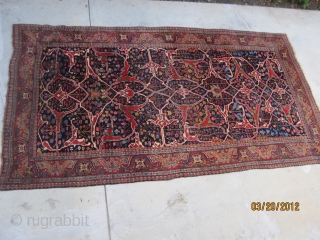 Antique Garrus Bidjar carpet with arabesque design, circa 1870, wool foundation, measuring 7'-5" x 13'-6",a symphony of color and design, truly a Kurdish masterpiece.         