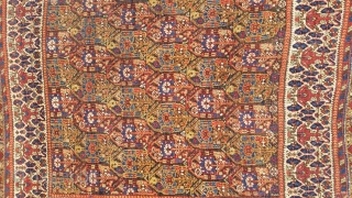 Antique Afshar rug from Sirjan area,circa 1850s,4'-9" × 5'-6", good condition, fantastic colors,wonderful border. Similar rug can be found in a book named  Visions of Nature by Jim Burns plate 61. 