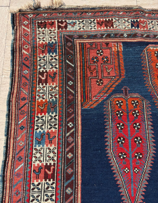Circa 1900 Shikli Rug. Size: 137 x 225 cm