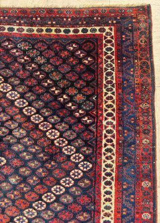 Late 19th Century Jaff Rug.Size: 166 x 220 cm