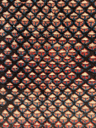 Late 19th Century Shirvan Rug. Size : 100 x 135 cm