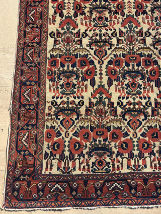 Late 19th Century Afshar Rug. Size : 143 x 183 cm