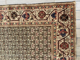 Probably Persian Tabriz with rare zili sultan pattern. 184cm x 131cm                      