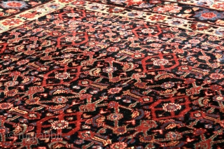 Persian Bidjar. In very good condition. 176 x 144 cm                       