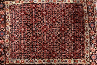 Persian Bidjar. In very good condition. 176 x 144 cm                       