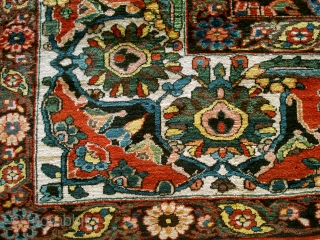 Antique Bachtiari. Huge chunck of what must have been an enourmous carpet. To my opinion a descendant of the famous Von Hirsch garden carpet (also only fragments survived). see HALI 42 PAGE  ...