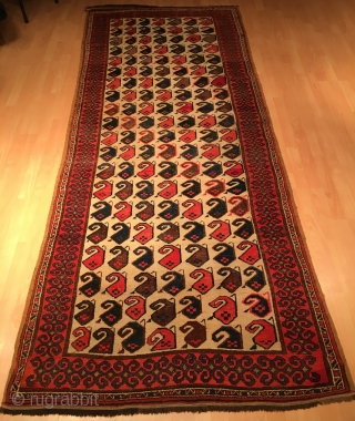 Central Asian Uzbek Botteh Rug Full Condition Good Colors Size 310 x 122 cm                   