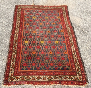 Candy Land.  A late but a beautiful and rare kurdish rug with Khashkhash flowers.                  