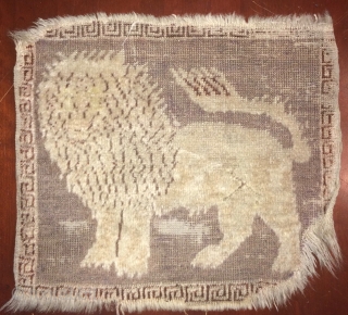 Rare Persian Lion Measuring approximately 15" * 13"                         