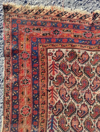 Afshar Persian Rug

Circa 1870 


Size: 125x175 cm                          