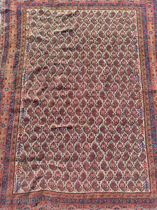 Afshar Persian Rug

Circa 1870 


Size: 125x175 cm                          