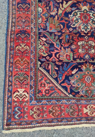 Mahal Carpet 

Size : 135x205 cm

                           