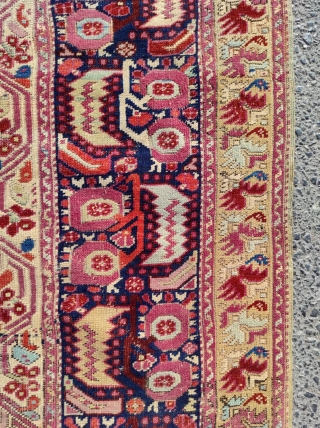 Gördes Carpet 

Circa 1870

Size : 146x217 cm 

                         