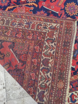 Avshar Carpet

Size : 140 x 182 cm

RR has an email problem please reach me directly on this email : alpagutrugs@gmail.com             