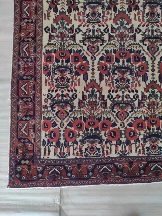 Very high quality antique Avshar rug

Size : 143 x 183 cm 

Please contact me directly on this email : alpagutrugs@gmail.com             