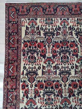 Very high quality antique Avshar rug

Size : 143 x 183 cm 

Please contact me directly on this email : alpagutrugs@gmail.com             