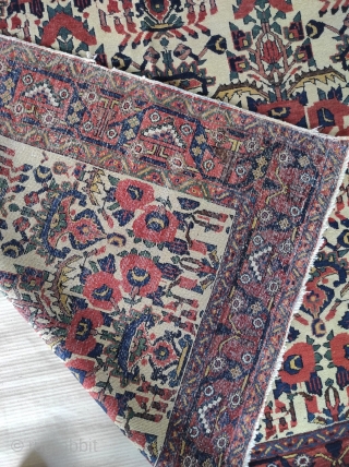 Very high quality antique Avshar rug

Size : 143 x 183 cm 

Please contact me directly on this email : alpagutrugs@gmail.com             