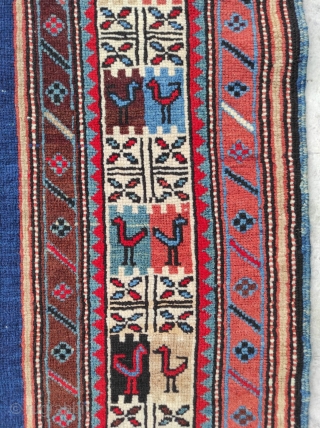 Caucasian Shıhlı Antique Rug 

Size : 135 x 225 cm 

Circa 1880s 

Please contact me directly : alpagutrugs@gmail.com               
