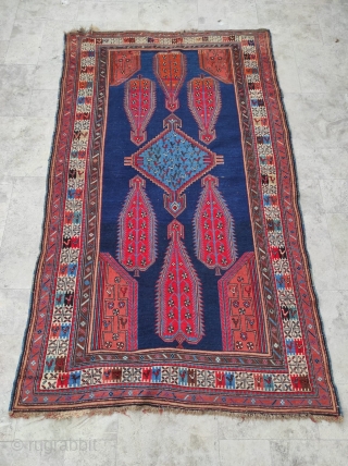 Caucasian Shıhlı Antique Rug 

Size : 135 x 225 cm 

Circa 1880s 

Please contact me directly : alpagutrugs@gmail.com               