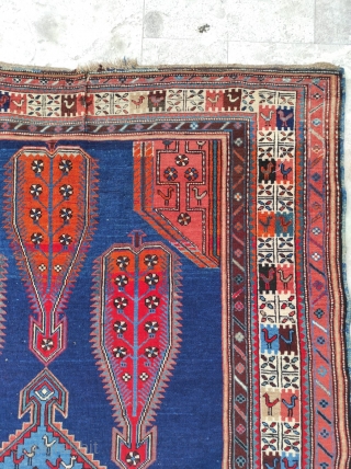 Caucasian Shıhlı Antique Rug 

Size : 135 x 225 cm 

Circa 1880s 

Please contact me directly : alpagutrugs@gmail.com               