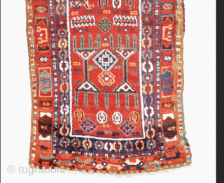 Middle Of The 19th Century Kurdish Prayer Rug. 

Size 76 x 175 cm

Please contact me directly on this email : alpagutrugs@gmail.com            