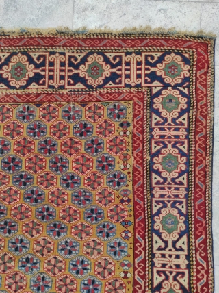 Shirvan Kuba Rug 

Circa 1870s

Size : 103 x 150 cm                       