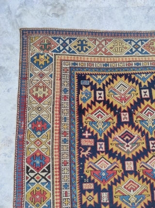 Shirvan Carpet 

Size : 115 x 173 cm 

Circa 1880                       