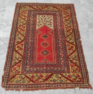 Milas Carpet 

Size : 218 x 178 cm                         