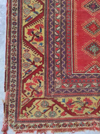 Milas Carpet 

Size : 218 x 178 cm                         
