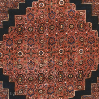 Antique Persian Bijar Rug
Persia ca.1919
24'2" x 13'2" (737 x 401 cm)
FJ Hakimian Reference #10009
                   