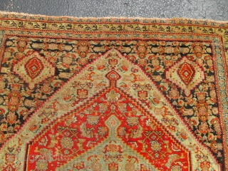 19Th Century Rare Persian Senneh Rug.

3'6'' x 4'2'' condition great,low even pile .Stunning colors,very fine knots quality.one of kind.              