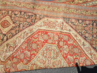 19Th Century Rare Persian Senneh Rug.

3'6'' x 4'2'' condition great,low even pile .Stunning colors,very fine knots quality.one of kind.              