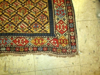 19Th Century Caucasian Marasali Shirvan Rug.

size 3'8''x4'8''. condition very good for the age low even pile. lovely  colors.              