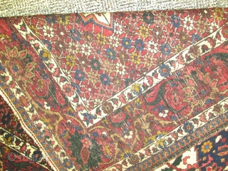 Antique Persian Bakhtiary rug.

size 7'5''x4'7''.condition very good .                         