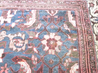 Antique Mahal Rug.

size 12'3''x15'8'' .circa 1890.                           