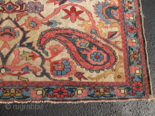Unusual Antique Persian Malaer Rug.

size 5'1''x6'4''.

condition low even pile need some re pile.                    