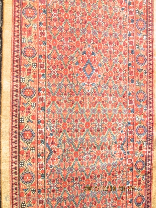 Antique Camel Hair Serab Rug.

Size 2'11''x21'.                           