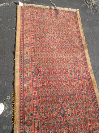 Antique Camel Hair Serab Rug.

Size 2'11''x21'.                           