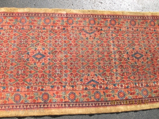 Antique Camel Hair Serab Rug.

Size 2'11''x21'.                           