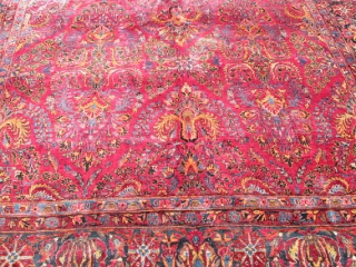 Lovely Antique Persian Sarouk.

size 11'5''x8'8''.

condition superb.

lovely green and gold colors.                       