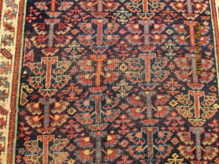 Antique Kurdish Bidjar.

size 5'x11'9''.                             