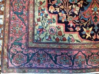 PERSIAN FERAGHAN FINE CARPET
FROM 1880'S
ENDS HAS 5 LINES MISSING BUT THE REST IS ALL ORIGINAL
AND IN PERFECT CONDITION
HAS NO WEAR,NO REPAIRS,NO TOUCH UP
PERFECT SHAPE         