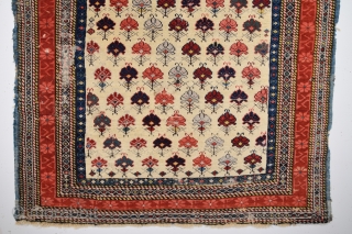 Shirvan Rug circa 1870 size 100x136 cm                          