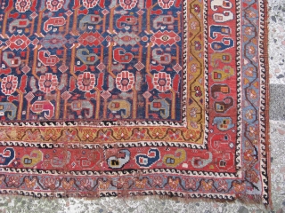 3481-Qashgai carpet 195x148                              