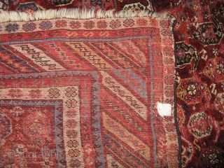 2439-Qashgai sugary carpet 198x166                             