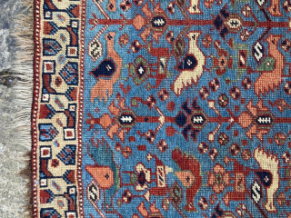 Kamseh bird bag Good condition, some minor losses to bottom edge
62cm by72cm

Contact gene@heritage-antique-rugs.com for more pics, price etc.               